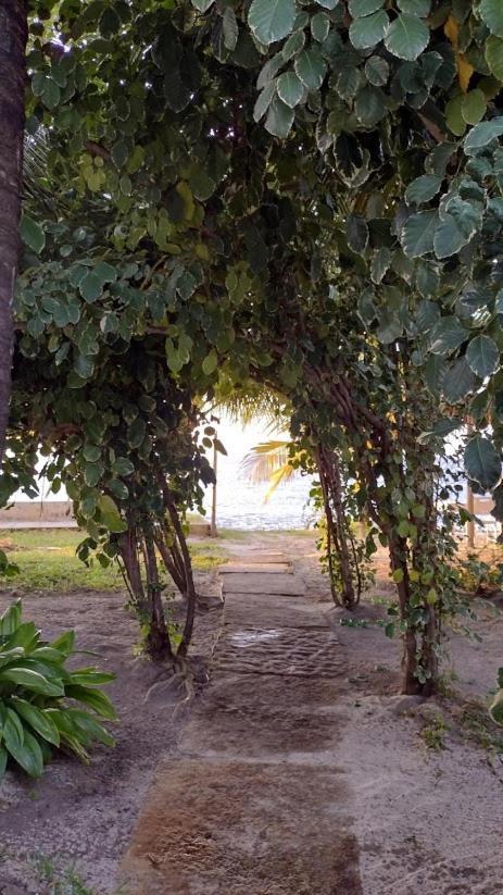 Oceano Atins Hotel Kültér fotó